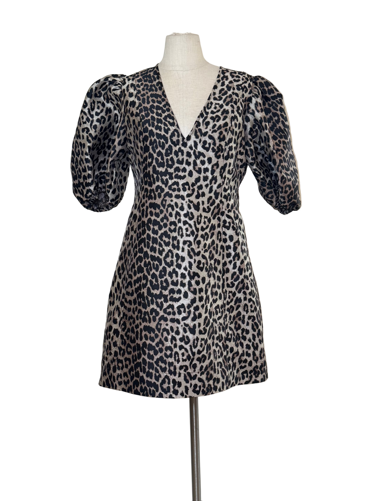 Animal Print Dress - Rental