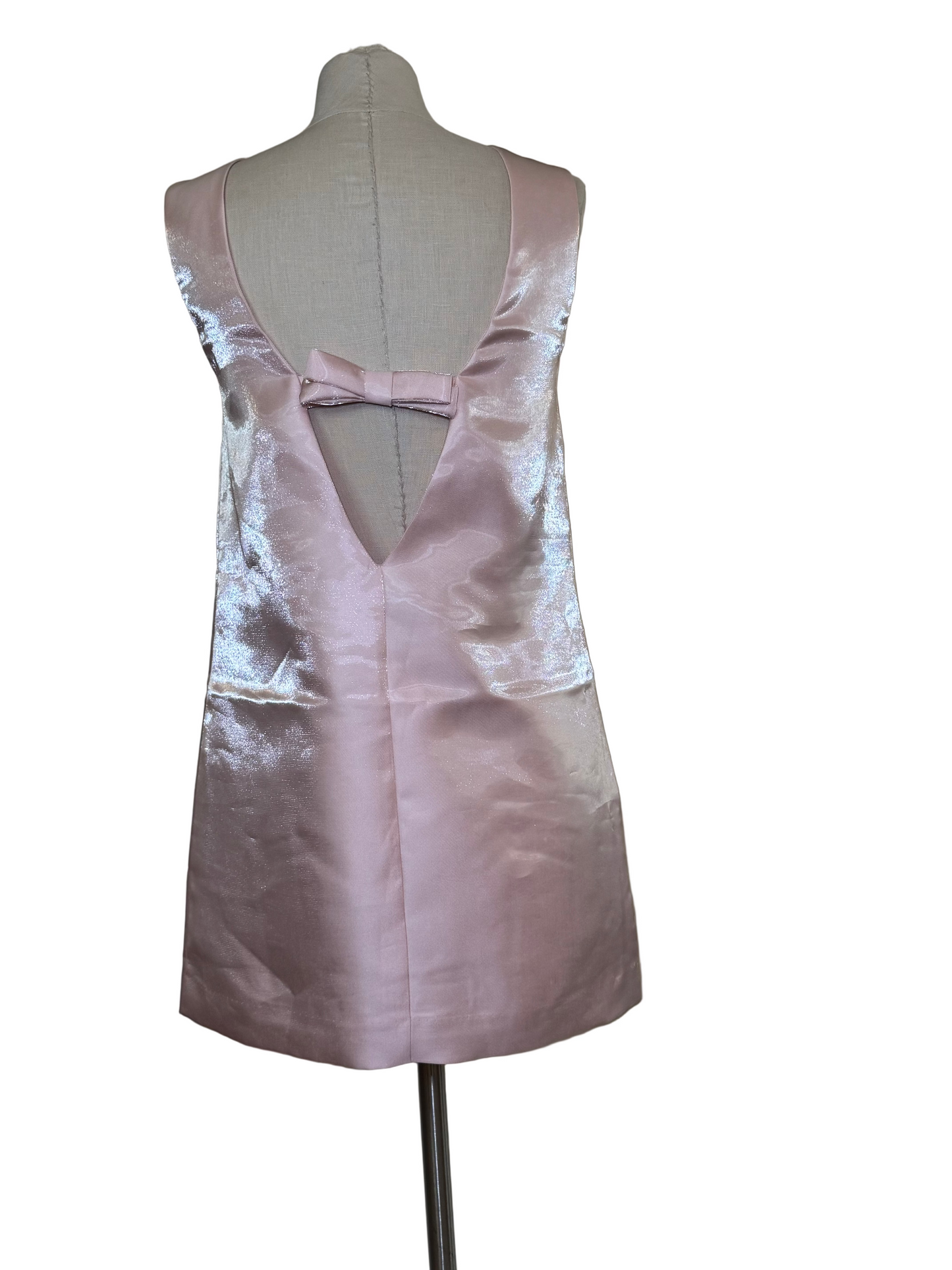 Pink Lady Dress - Rental