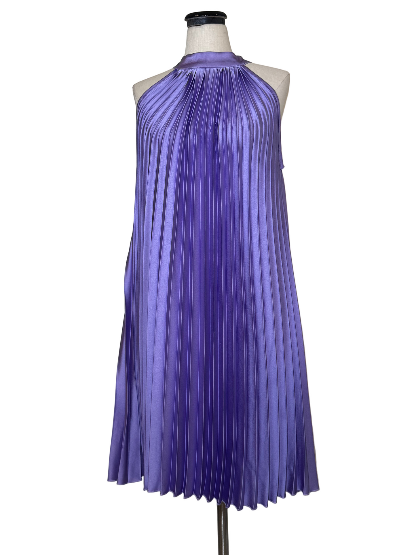 Purple Pleated Dress - Rental