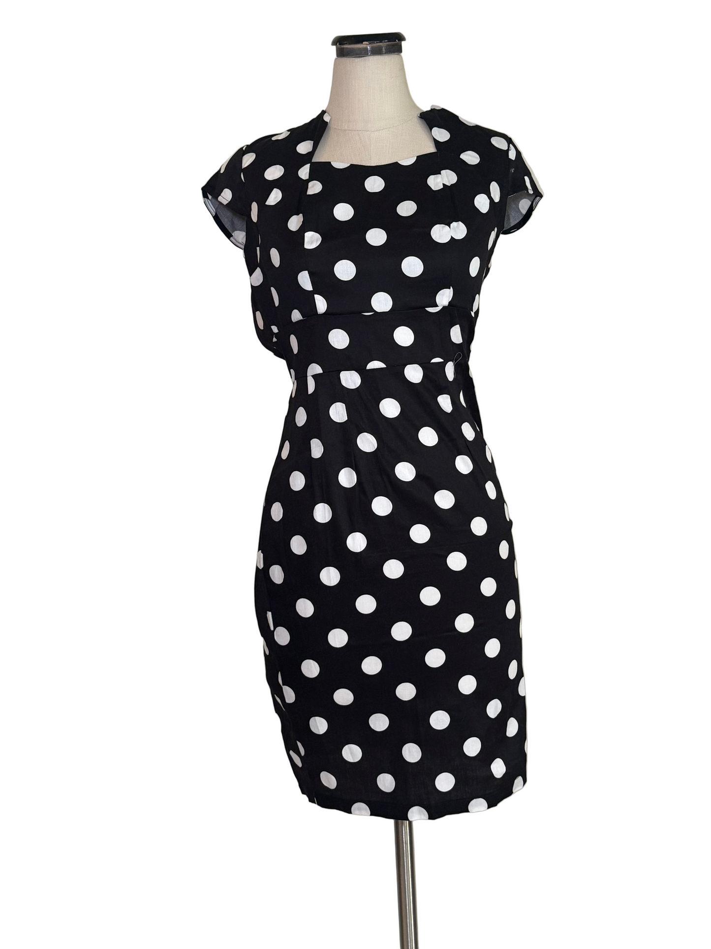 Polka Dot Dress - Rental