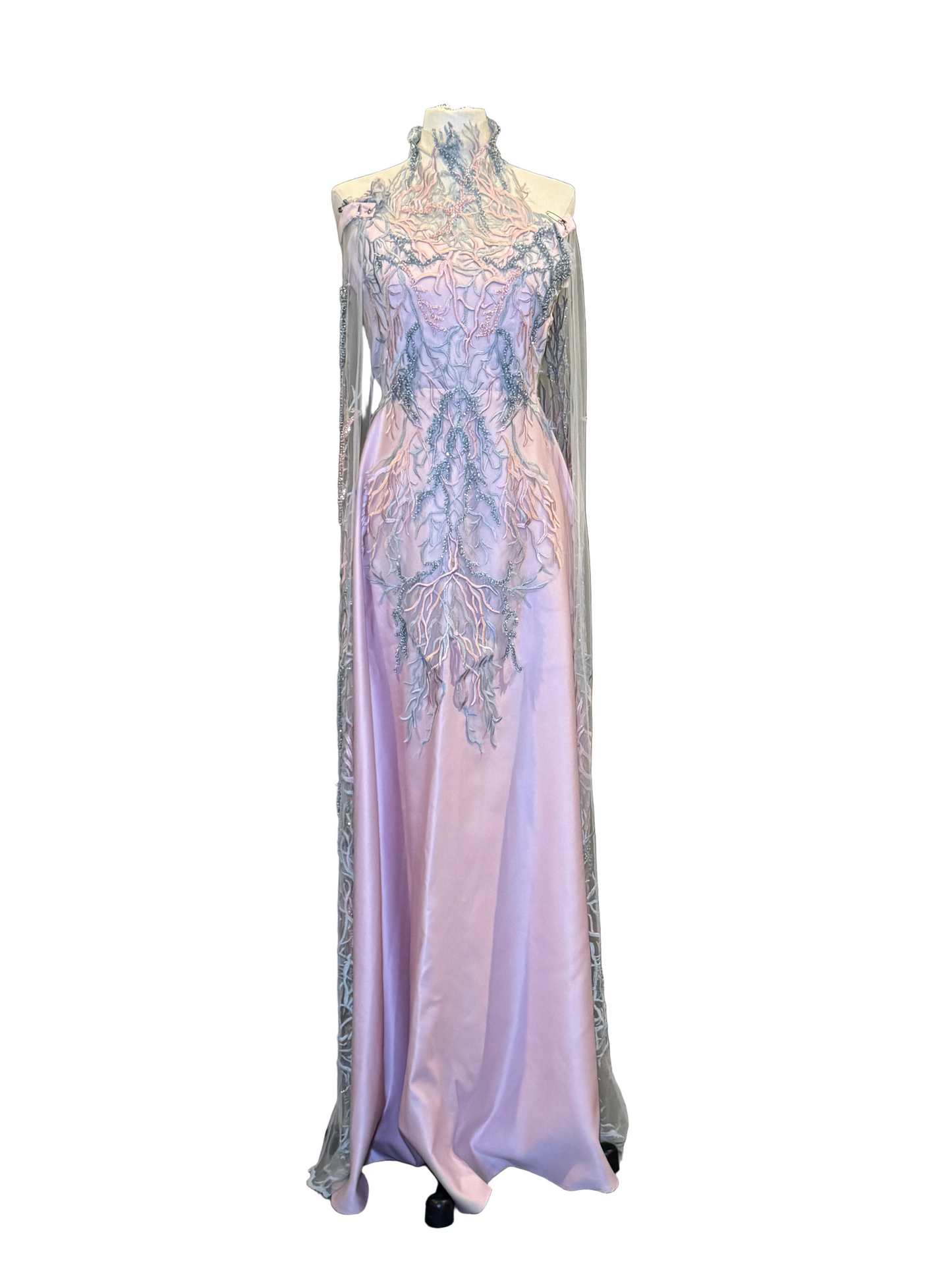 Pink Detailed Sleeves Gown - Rental