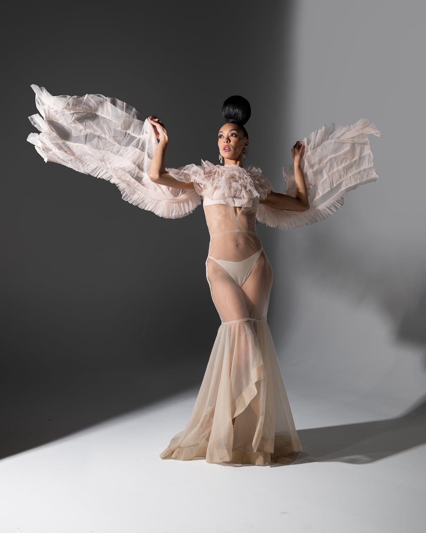 Feminine Sheer Dress Beige -Sold Out-