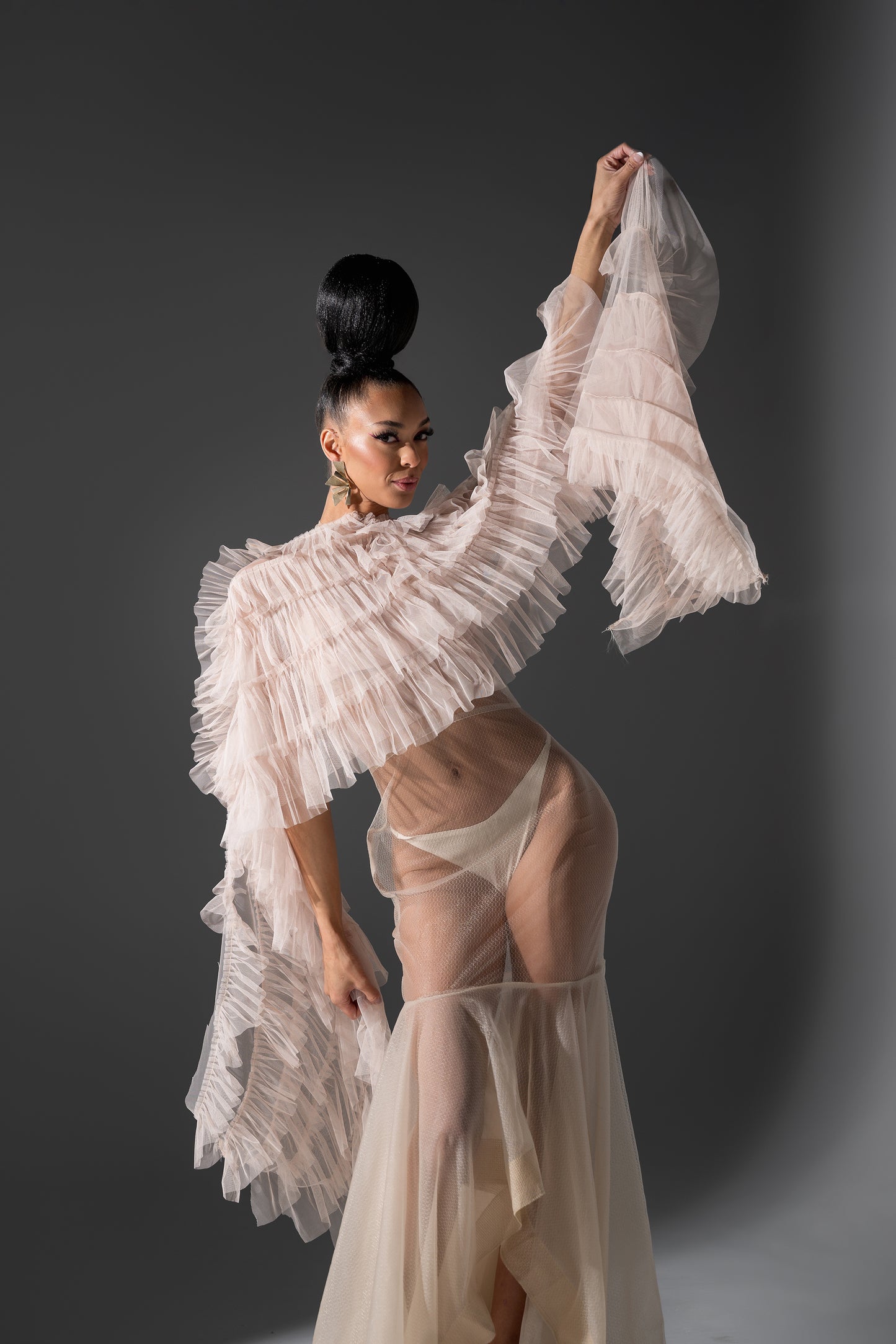 Feminine Sheer Dress Beige -Sold Out-